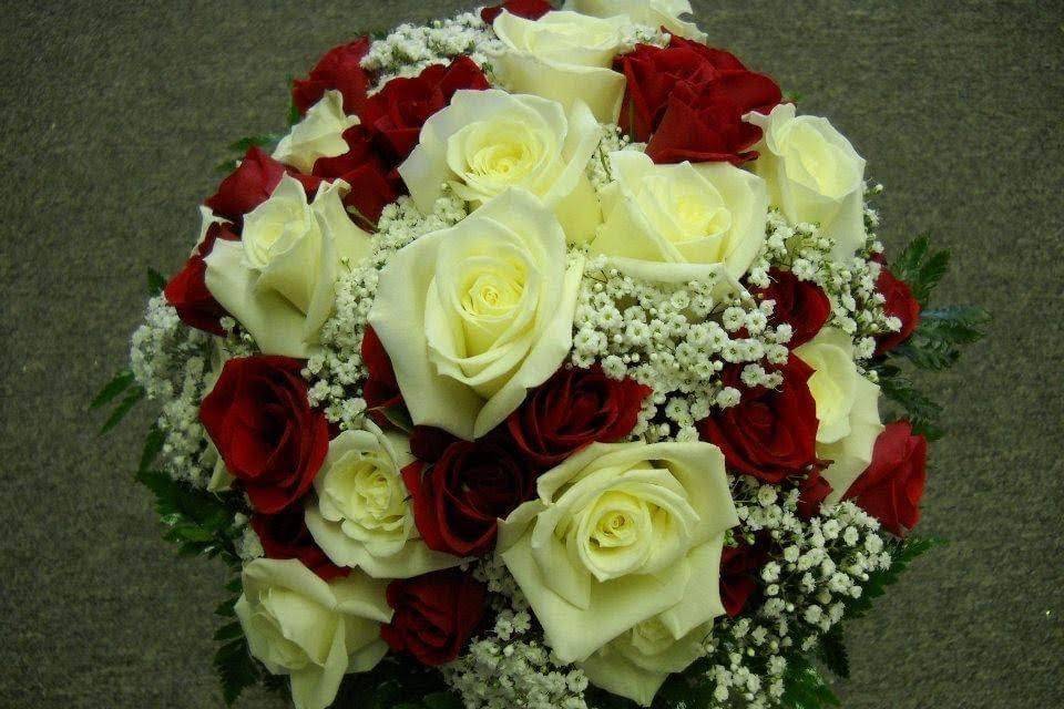 Red and White Roses.