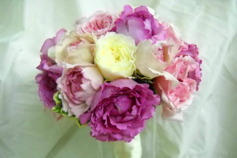 Assorted color Peonies.