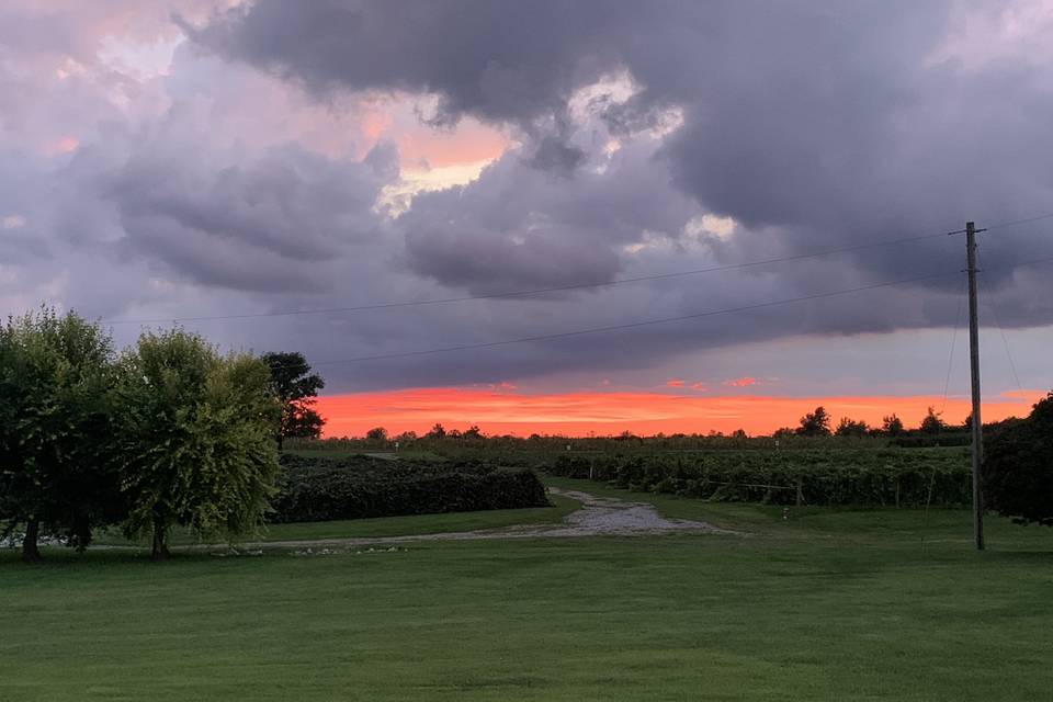 Sunset on the farm