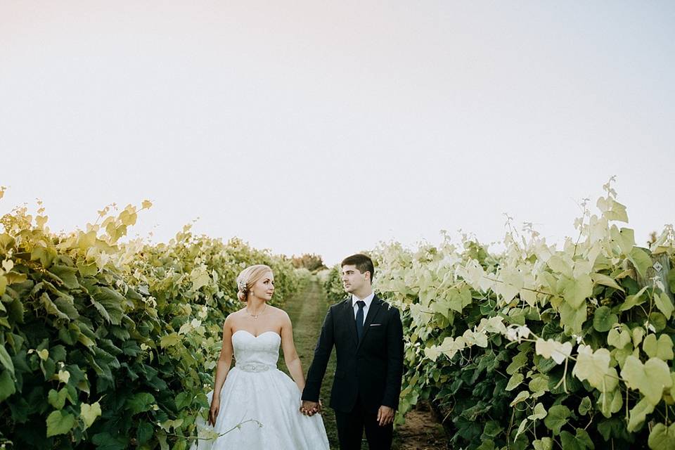 Bride and groom at the vineyard