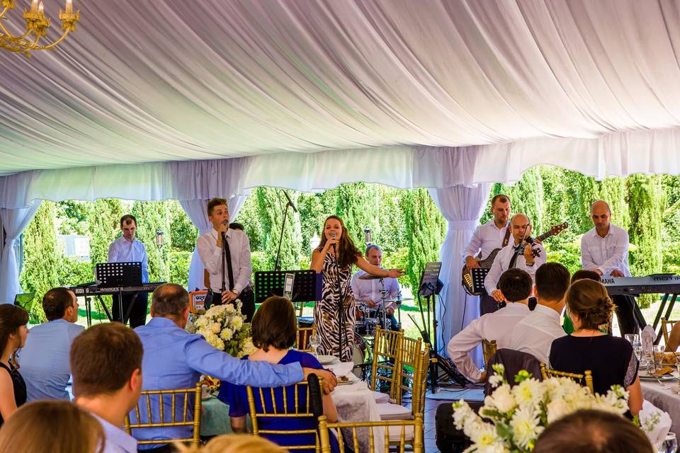 Band performance at wedding reception
