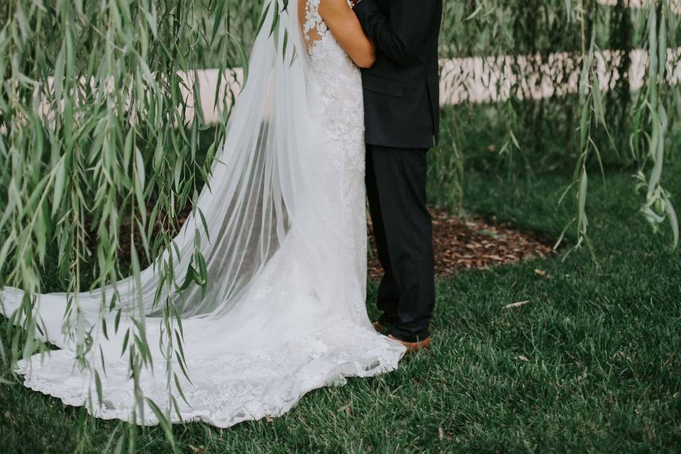 Couple with the willow