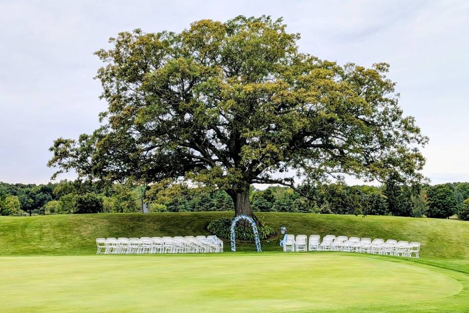 Reception Tent