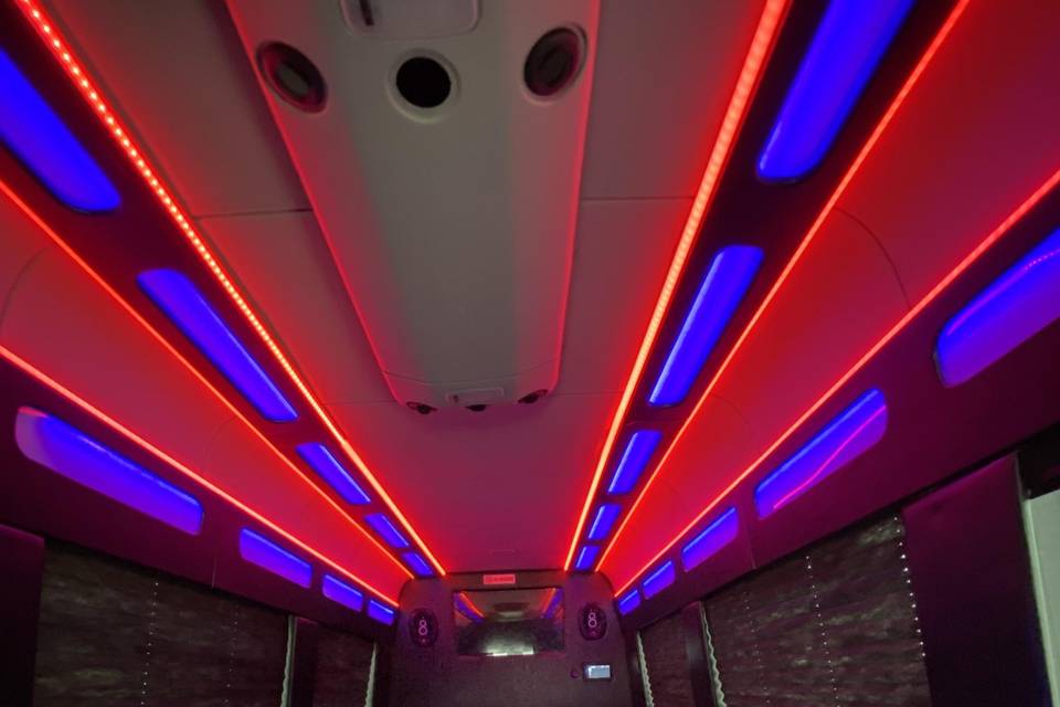 14 Pax Limo Interior