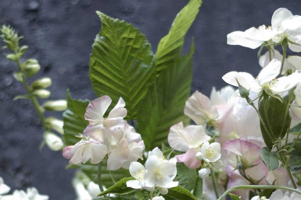 Garden flowers in urn detail