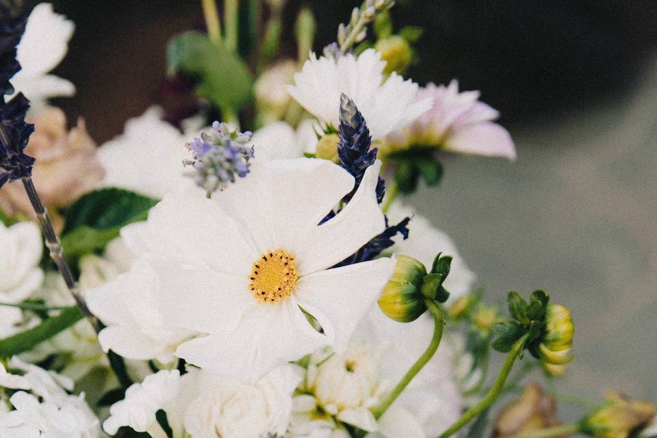 Summer flowers in white with lavender