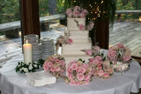 Wedding cake at Big Creek Wildlife Lodge 9/07