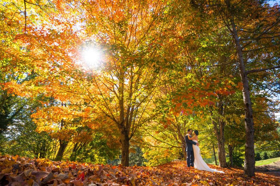 Newlyweds and the autumn leaves