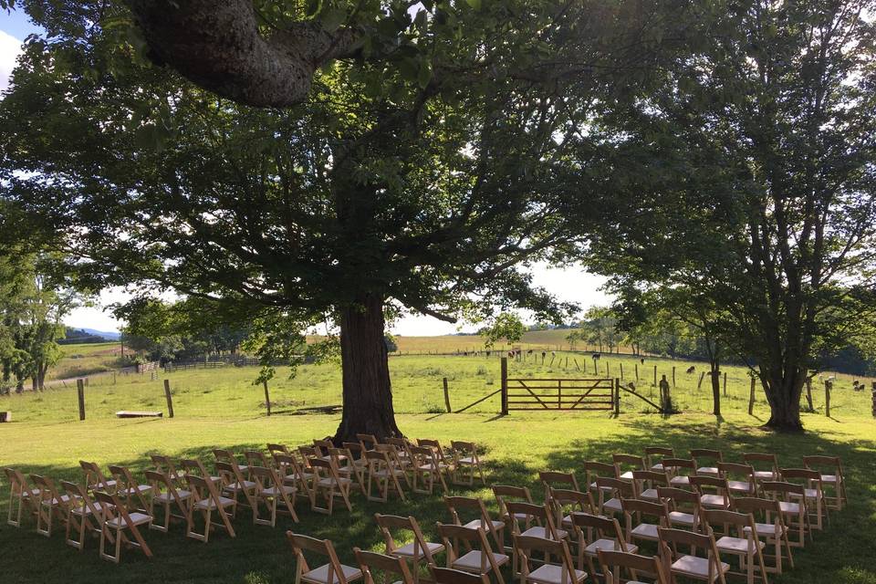 Wedding setup