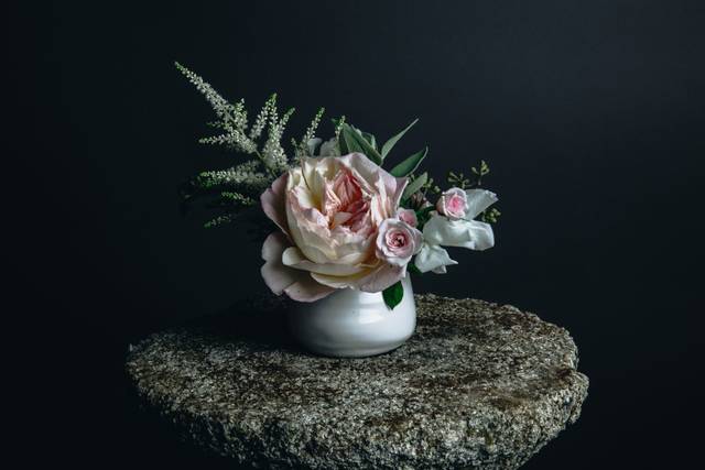 Beautiful flower