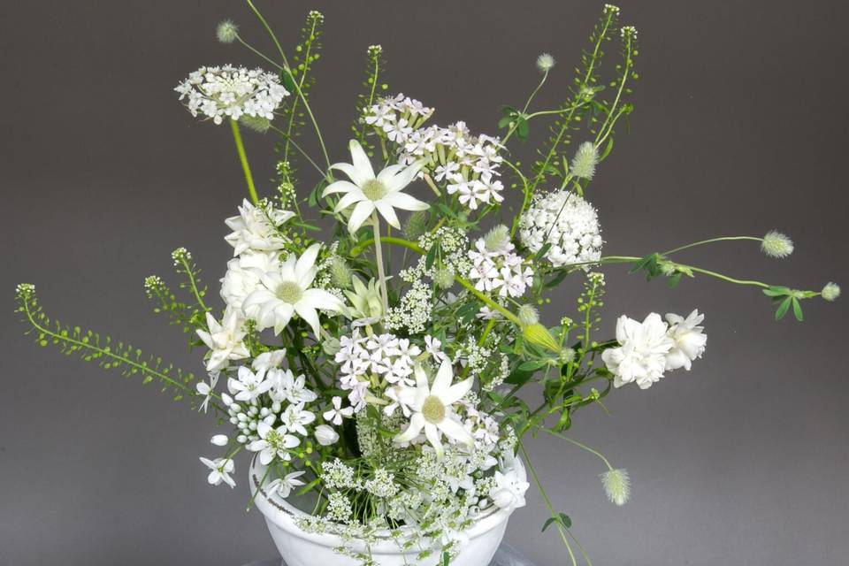 Dazzling flowers