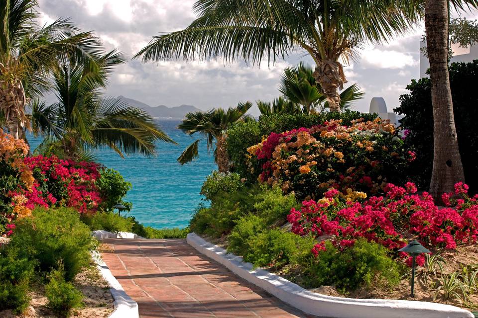 Walkway through lush gardens to the ocean.