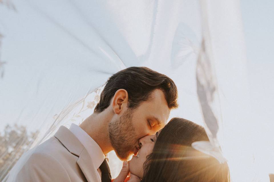 Bride & Groom Under Veil