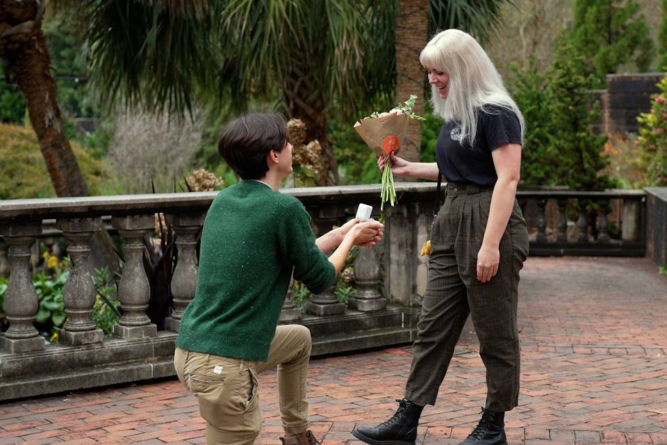 Proposal | Riverbanks Zoo, SC