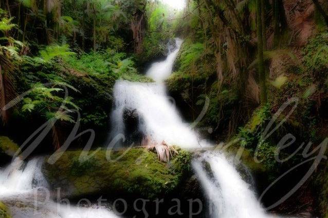 McKinley Photography