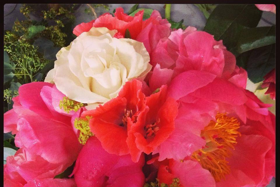 Love Flowers Shenandoah
