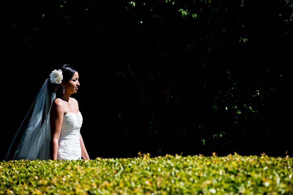 Tiffany Francies Events