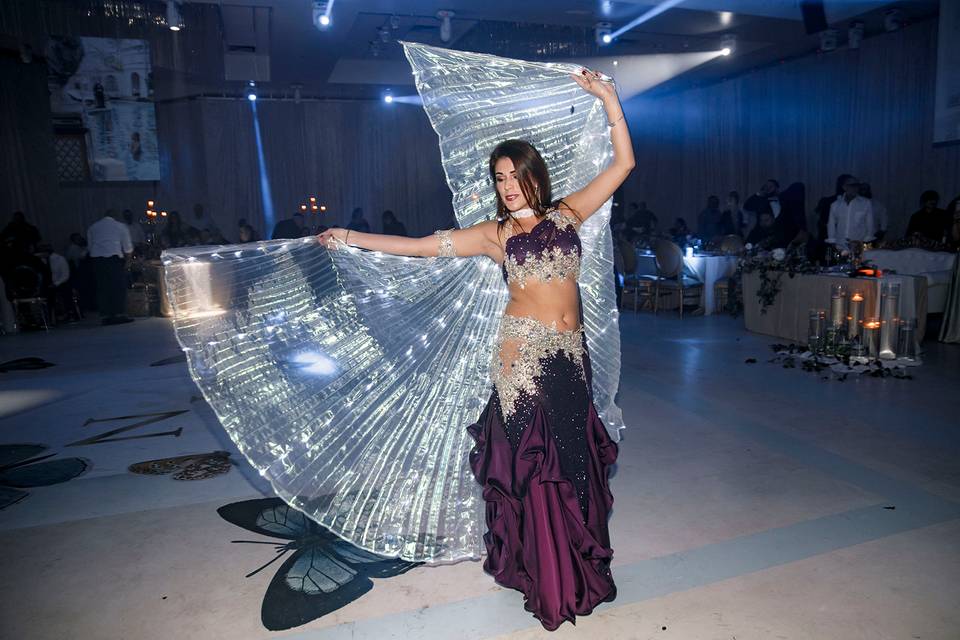 Bellydancer