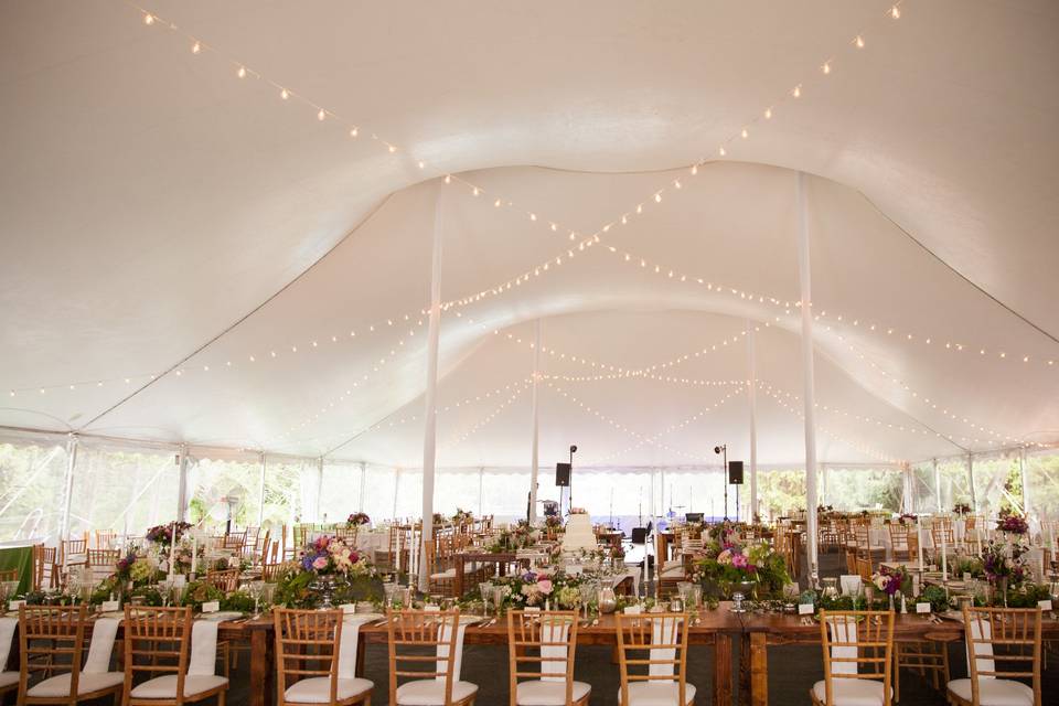 Wedding reception in the manor's pavilion