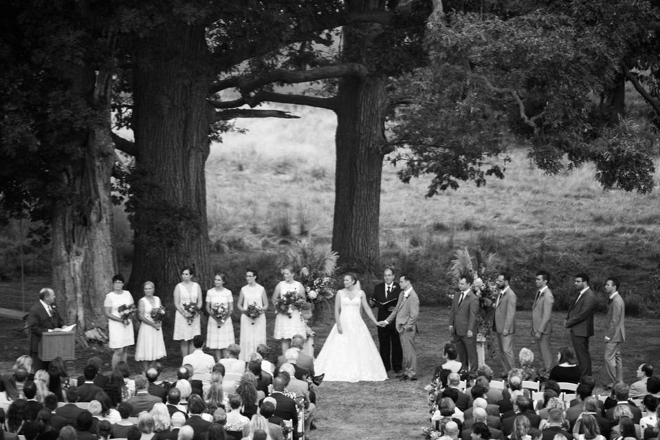 Wedding ceremony under the oak tree