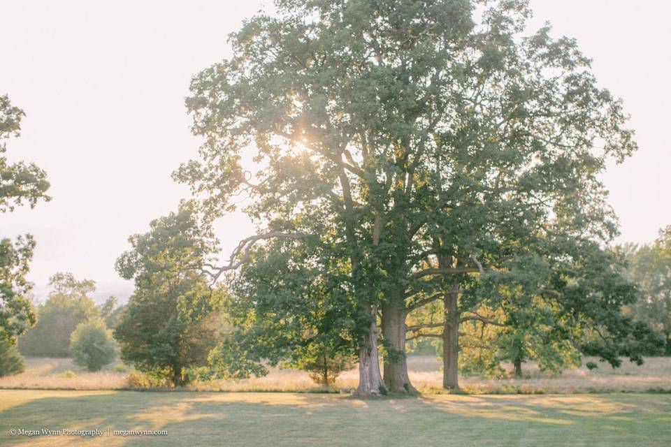 Wadsworth Homestead