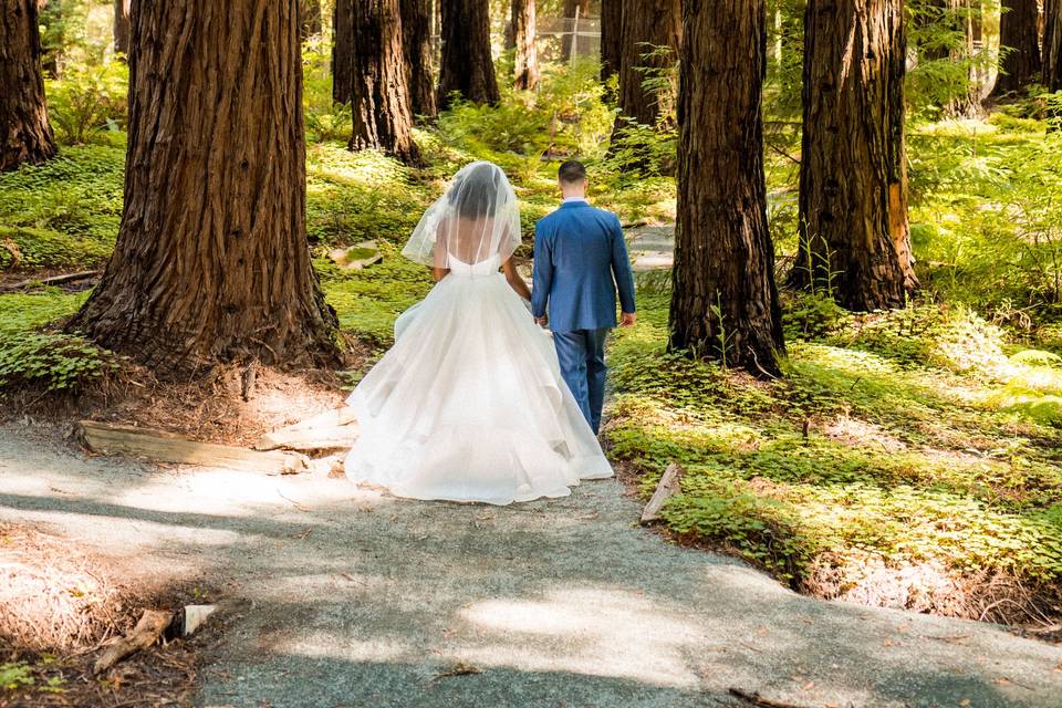 D&A Redwood Forest Wedding