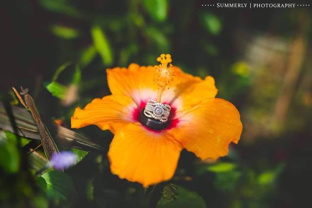 Summerly Photography