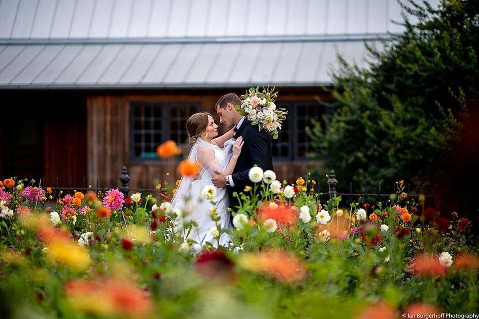 A field of beautiful blooms