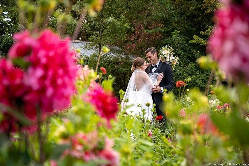 Love blooms among the dahlias