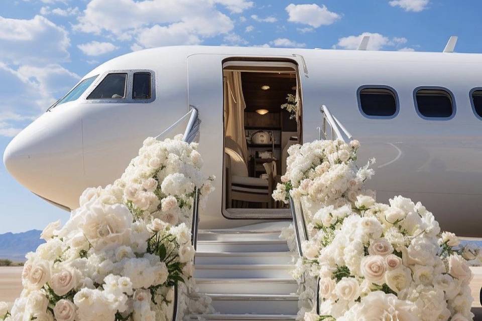 Floral plane