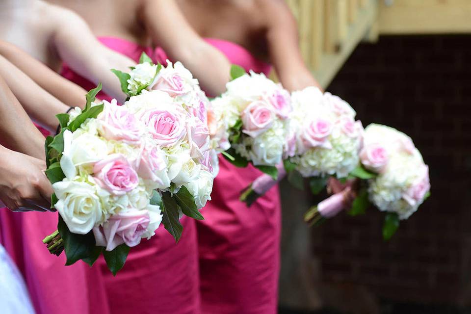 Pink and cream roses - Rob Rivera Photography