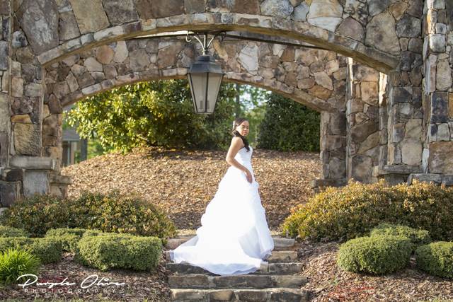 Purple Olive Photography