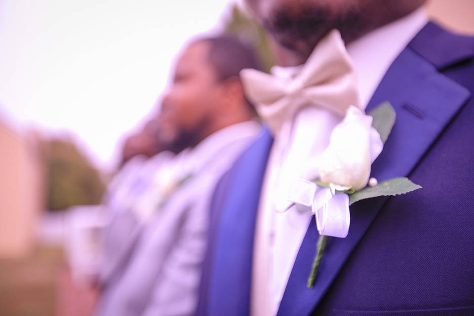 Purple Olive Photography
