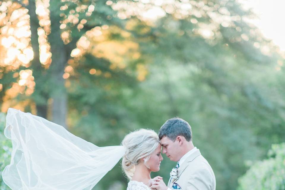 Wedding pictures in vineyard