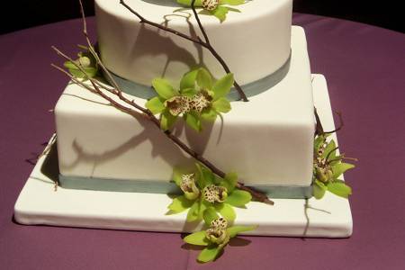 Branching Out Cakes