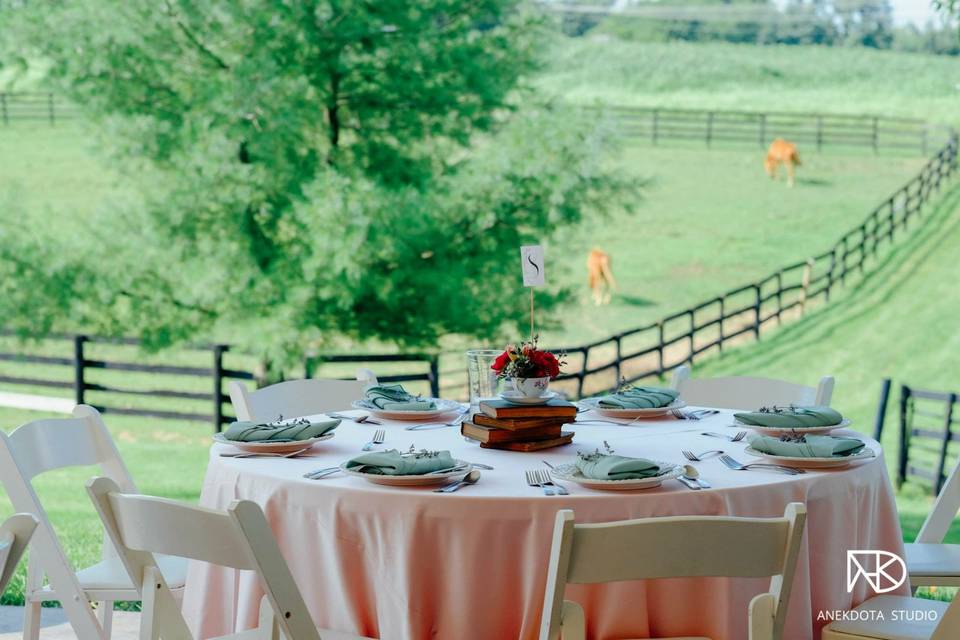 Table setup