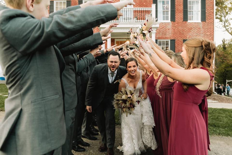 Wedding Party Entrance