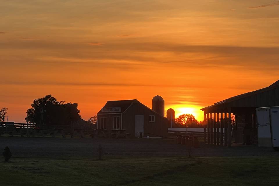 Beautiful sunset on the farm