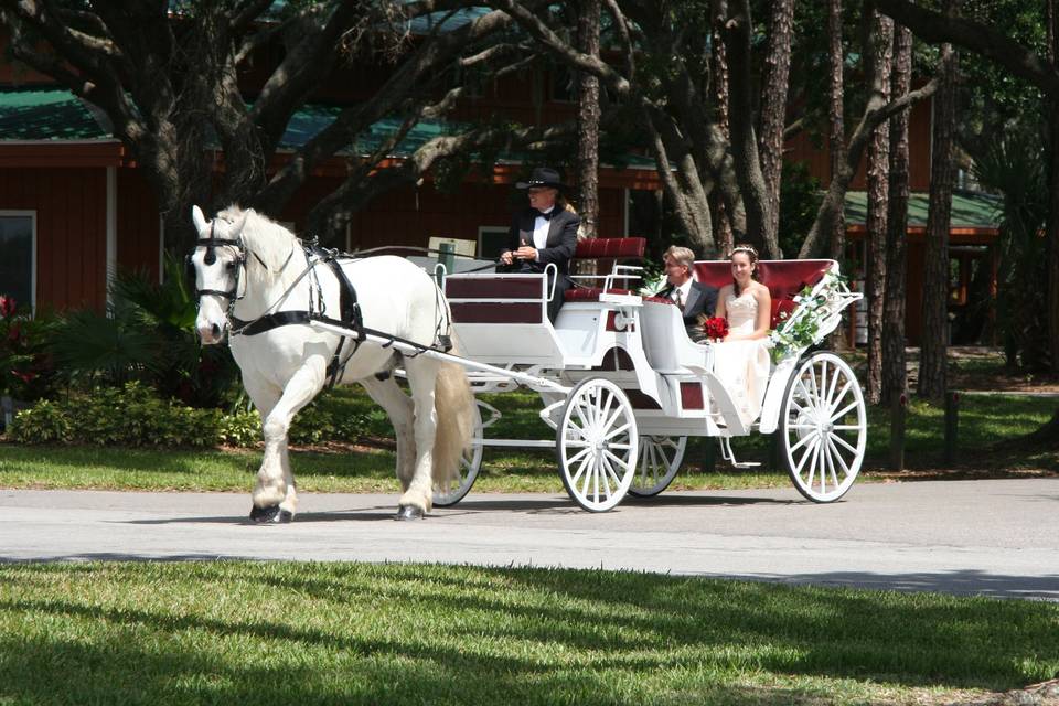Bride and Groom in carriage