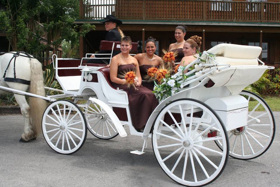 Bridesmaids in carrige