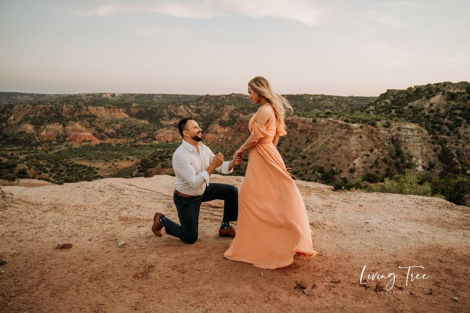 Palo Duro Engagement