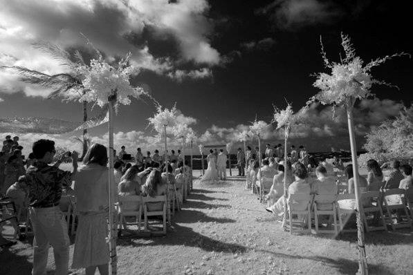 beautiful, oceanfront wedding on Oahu's spectacular North Shore, photo by Absolutely Loved