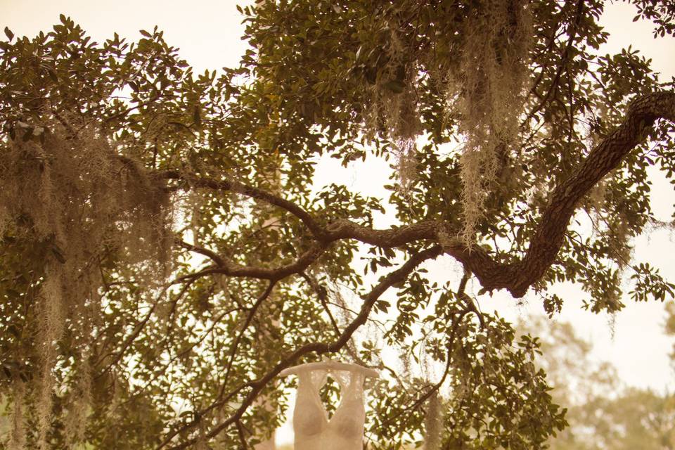 Bridal portrait