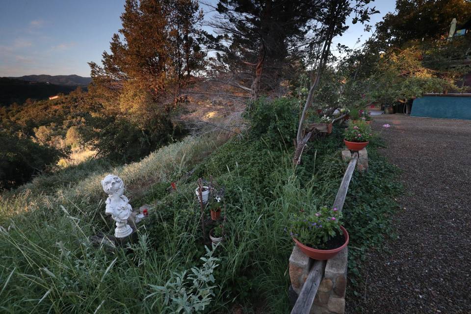 Foliage of Lynx Creek Farm