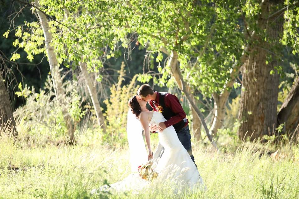 Romance in the tall grass