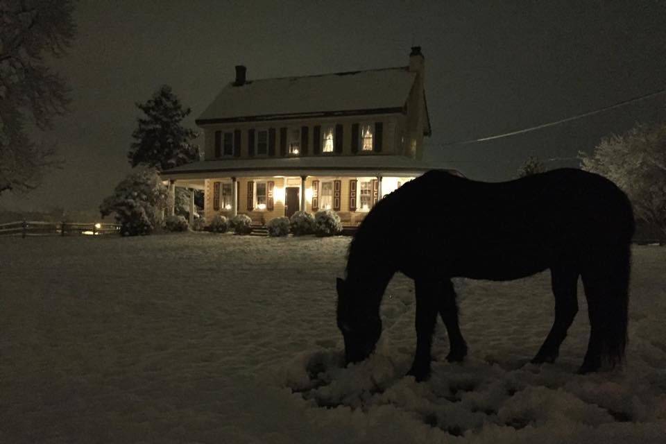 Sleigh riding at Northern Star Farm