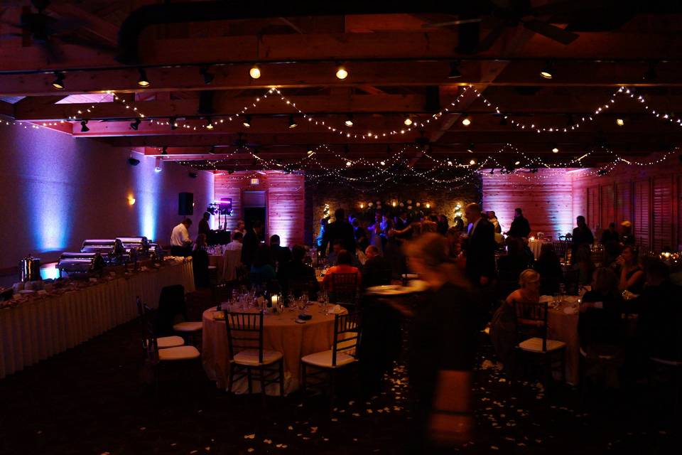 Wedding reception uplighting