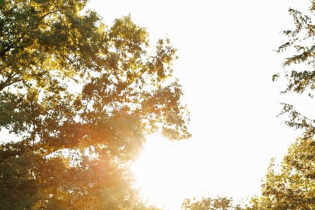 Golden hour stroll