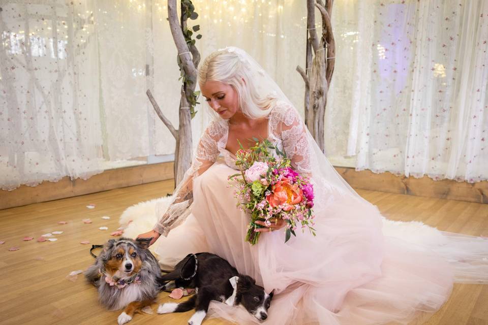 Bride with Dogs