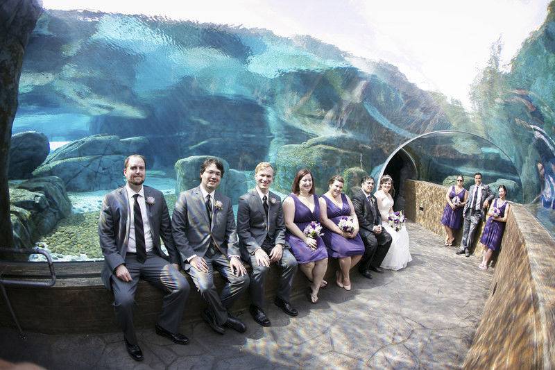 Wedding party in the sound tunnel